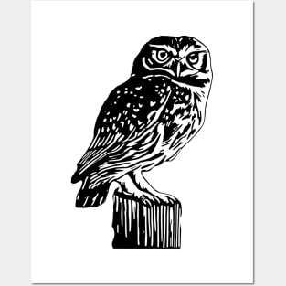 Owl Posters and Art